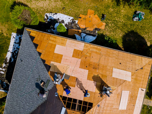Best Storm Damage Roof Repair  in Harvard, IL
