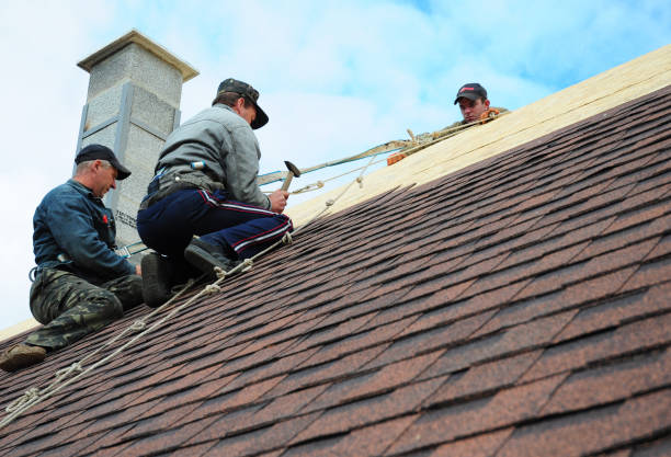 Best Roof Gutter Cleaning  in Harvard, IL